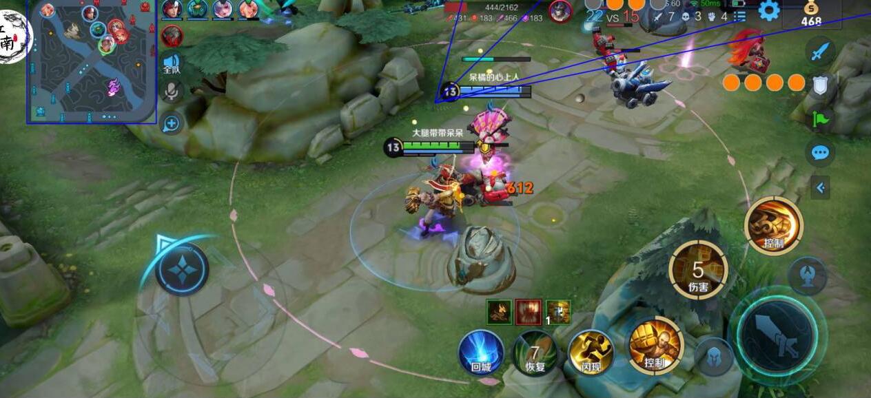 王者荣耀河马外挂科技