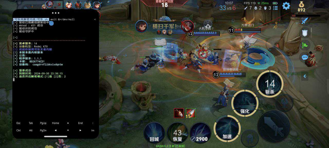 王者荣耀「黑马」内核辅助