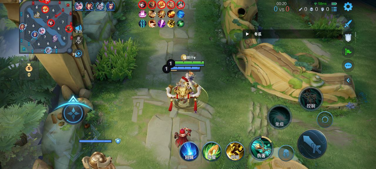 王者荣耀【Nikou定制版内核】辅助